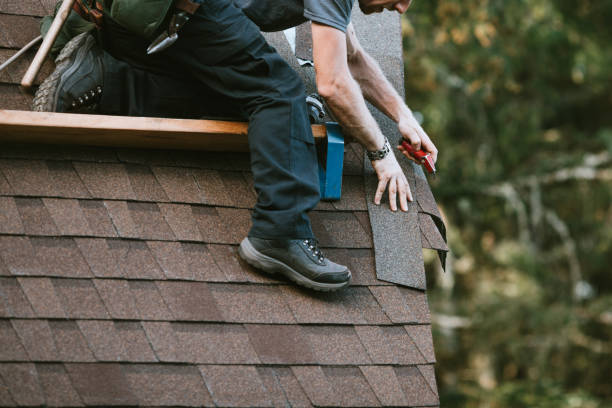 Best Metal Roofing Contractor  in Cloquet, MN